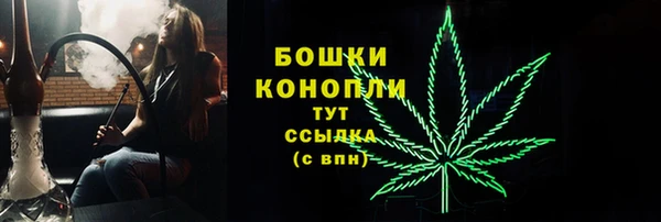 прущие крисы Верея