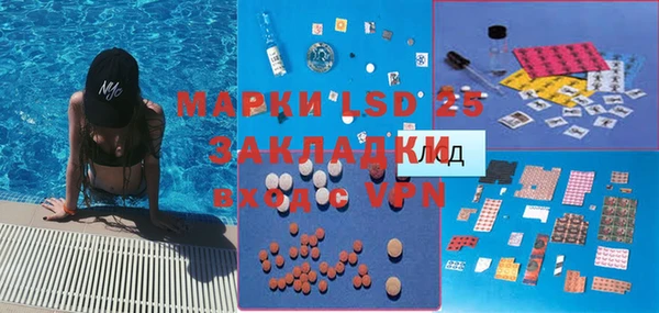 прущие крисы Верея