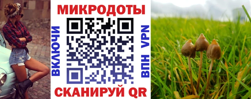 Галлюциногенные грибы Psilocybine cubensis  хочу наркоту  Вольск 